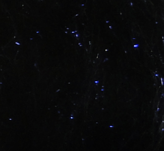 Big Game Dubbing - CLYDE Black - Streamer fly tying dubbing