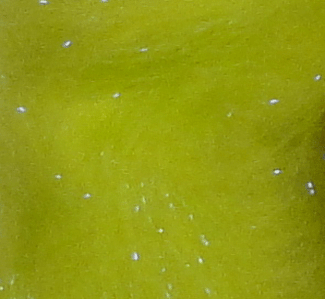 Big Game Dubbing - CLYDE Chartreuse - Streamer fly tying dubbing