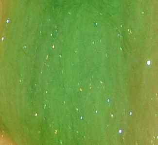 Big Game Dubbing Clyde - Bright Green - Streamer Dubbing FTD