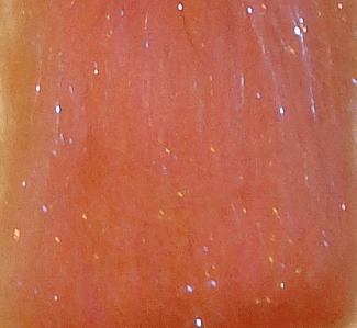 Big Game Dubbing Clyde - Shrimpy - Streamer Dubbing FTD