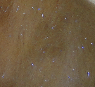 Big Game Dubbing - CLYDE Tan - Streamer fly tying dubbing