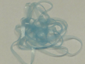 Baby Bug Back - Fly Tying Materials - Hot Aqua UV-X