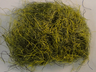 Big Bopper Dubbing Fly Tying Material Floating Perch