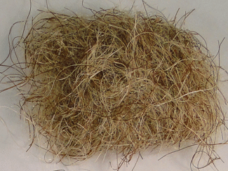 Big Bopper Dubbing Fly Tying Material Hopper Tan