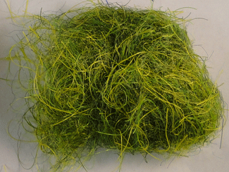 Big Bopper Dubbing Fly Tying Material The Frog