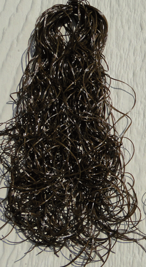 Bug Legs Fly Tying Legs for Dy Flies, Nymohs. Fly Tying Materials