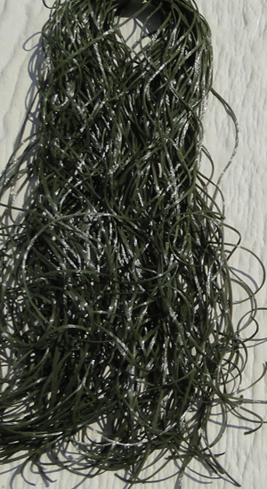 Bug Legs Fly Tying Legs for Dy Flies, Nymohs. Fly Tying Materials