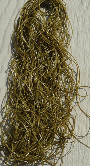 Bug Legs Fly Tying Legs for Dy Flies, Nymohs. Fly Tying Materials