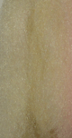 Crinkle Hair Dry Fly Wing Material Cream - Fly Tyers Dungeon