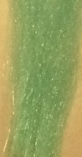 Crystal Web Fly Tying Material Aqua Blue