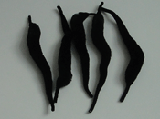Gator Tails - Black - Fly Tying Materials - FTD