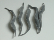 Gator Tails - Gray - Fly Tying Materials - FTD