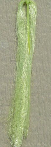 Micro Minnow Flash Very small fly tying tinsel - Chartreuse