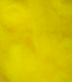 Micro Bug  Dub Dubbing - Lemon Yellow - Fly Tying Dubbing - Fly Tyers Dungeo