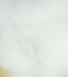 Micro Bug  Dub Dubbing - White - Fly Tying Dubbing - Fly Tyers Dungeo