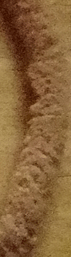 Mop Chenille Tan