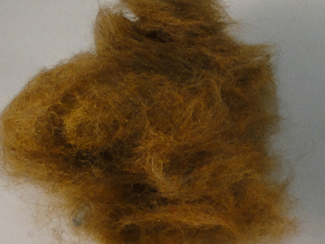 Mottled Bull Frawg Dubbing Fly Tying Material Just Caddis