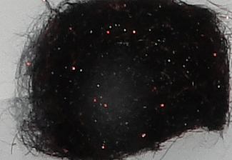 Private Stash NK Dubbing - Black - Fly Tying Materials