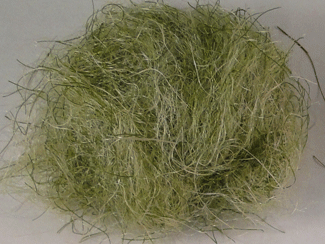 Sand Crab Dubbing Fly Tying Material Olive Crab