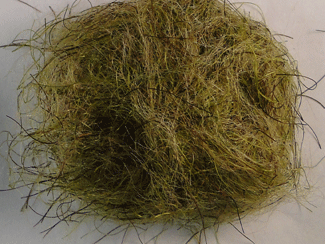 Sand Crab Dubbing Fly Tying Material Sand Olive Crab