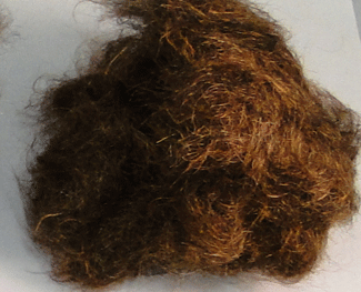 Wee Folk Dubbing Fly Tying Material MUD